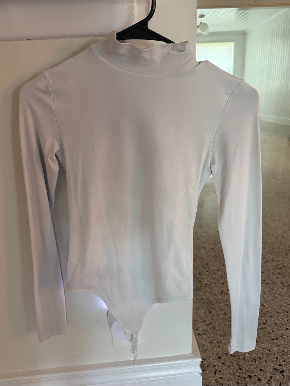 Aritzia Babaton Long sleeve bodysuit